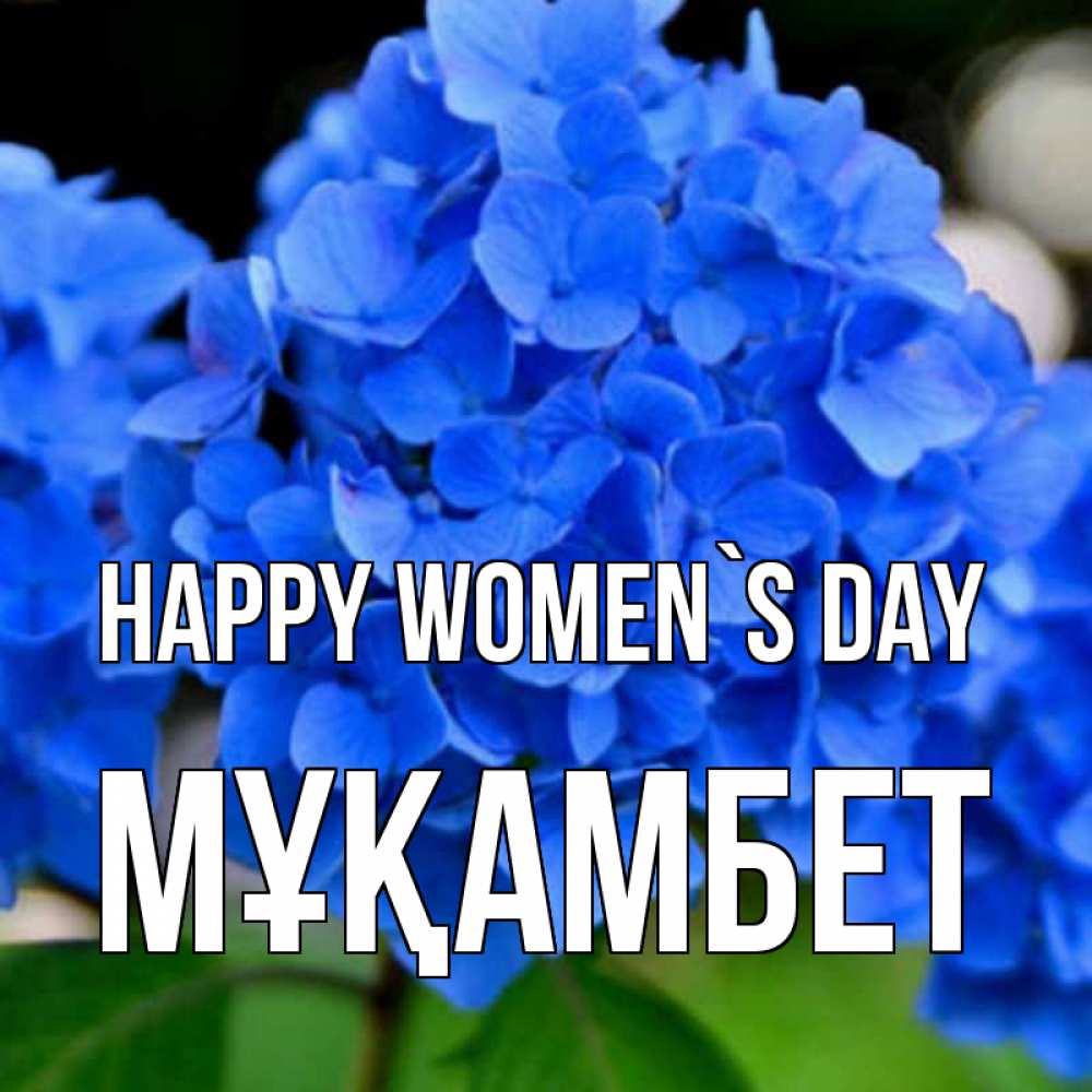 Greetings card с именем, МҰҚАМБЕТ happy women`s day синие цветы Greetings with text for free download 